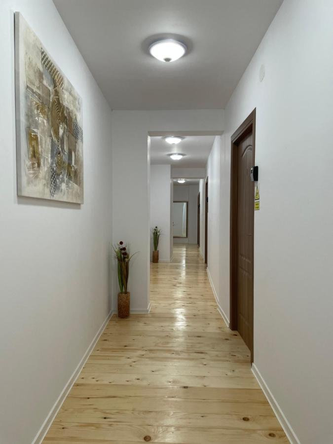 Schei Central Studios In The Heart Of Brasov Bagian luar foto