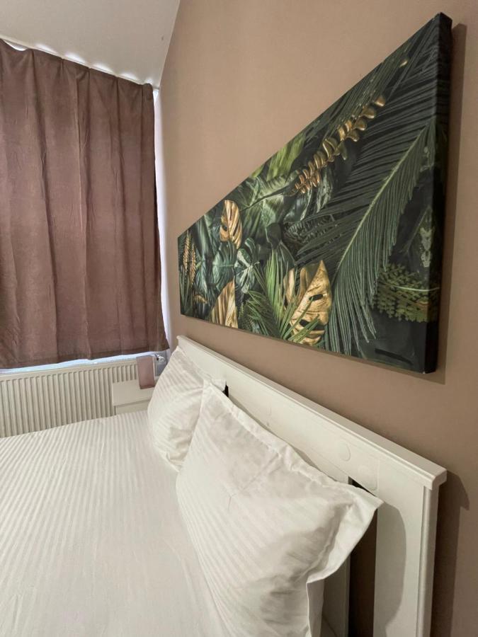 Schei Central Studios In The Heart Of Brasov Bagian luar foto