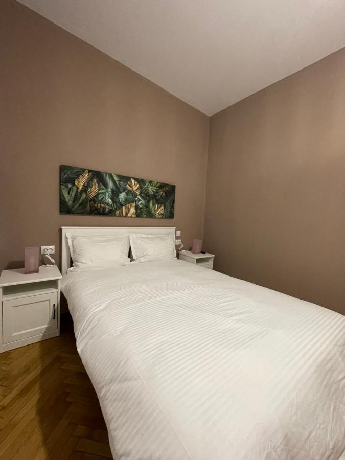 Schei Central Studios In The Heart Of Brasov Bagian luar foto