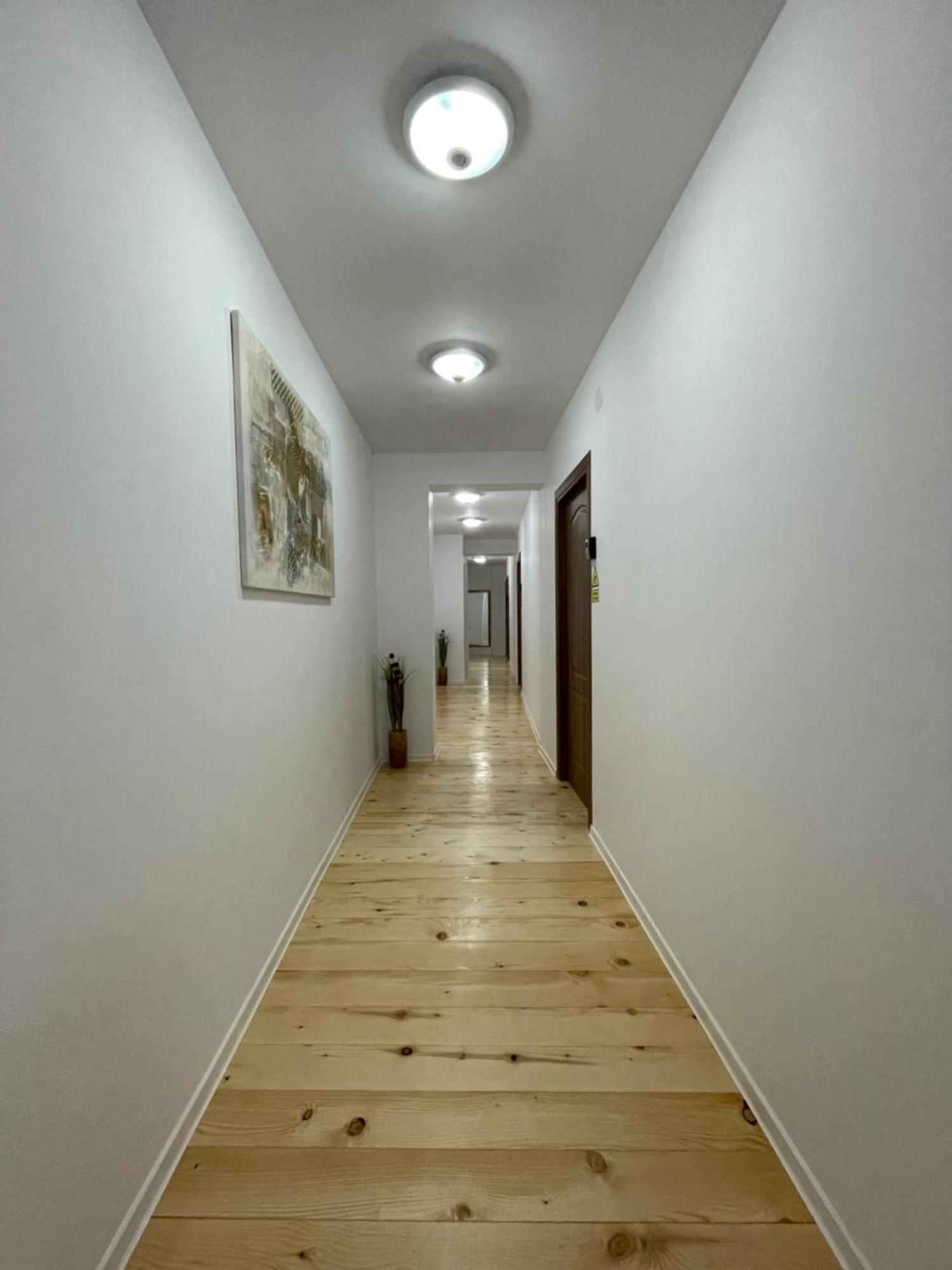 Schei Central Studios In The Heart Of Brasov Bagian luar foto